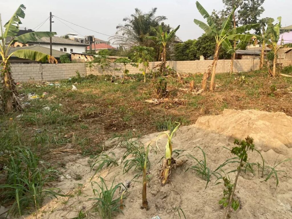 whatsapp image 2026 02 08 at 19.02.18